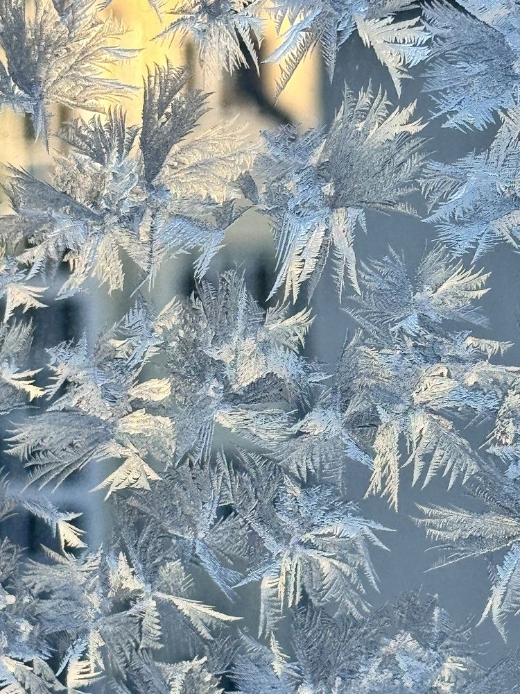 Фотография автора Галина Шиманцова