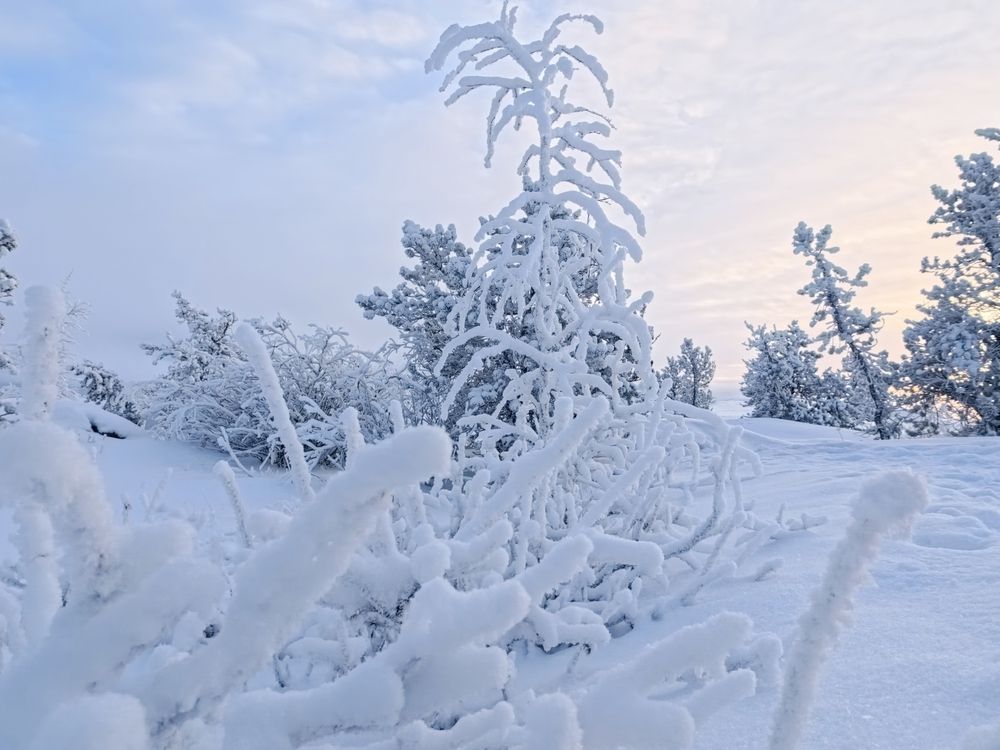 Photograph by JONATHAN VALDEZ