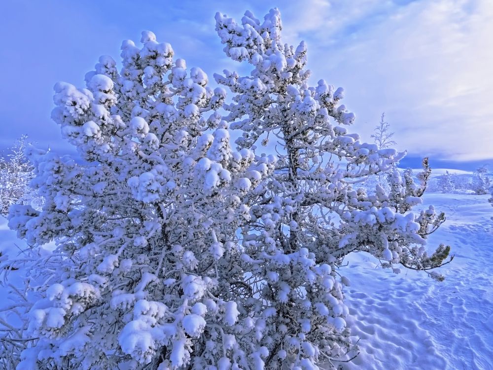 Photograph by JONATHAN VALDEZ