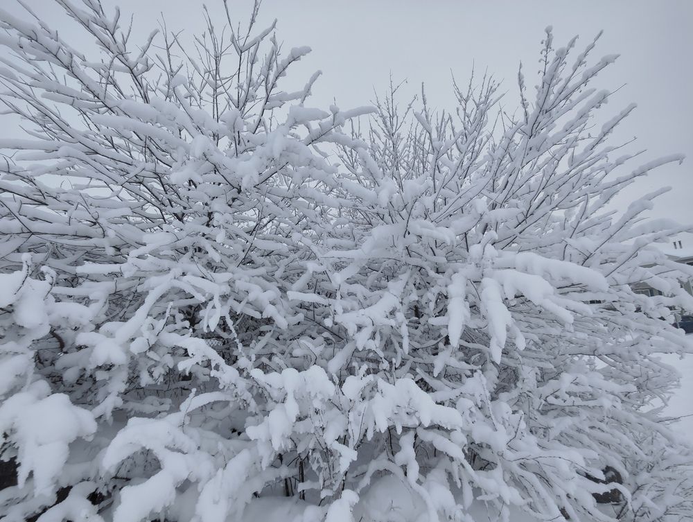 Photograph by JONATHAN VALDEZ