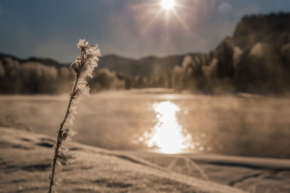 Photograph by Анна Степанченко