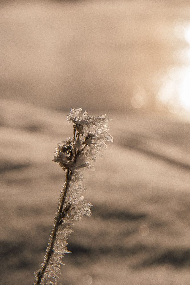 Photograph by Анна Степанченко