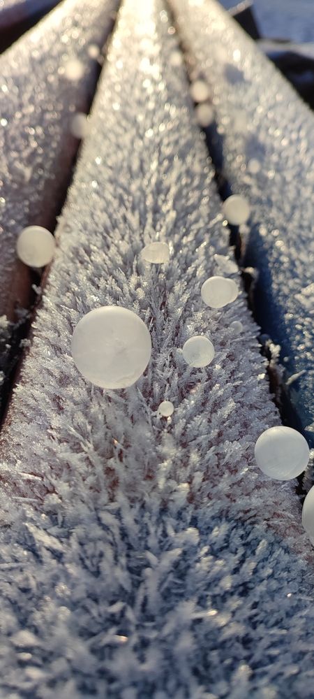 Фотография автора Мария Анатольевна Кузовлева