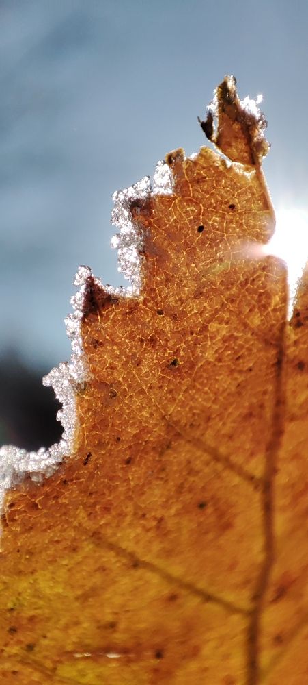 Фотография автора Мария Анатольевна Кузовлева