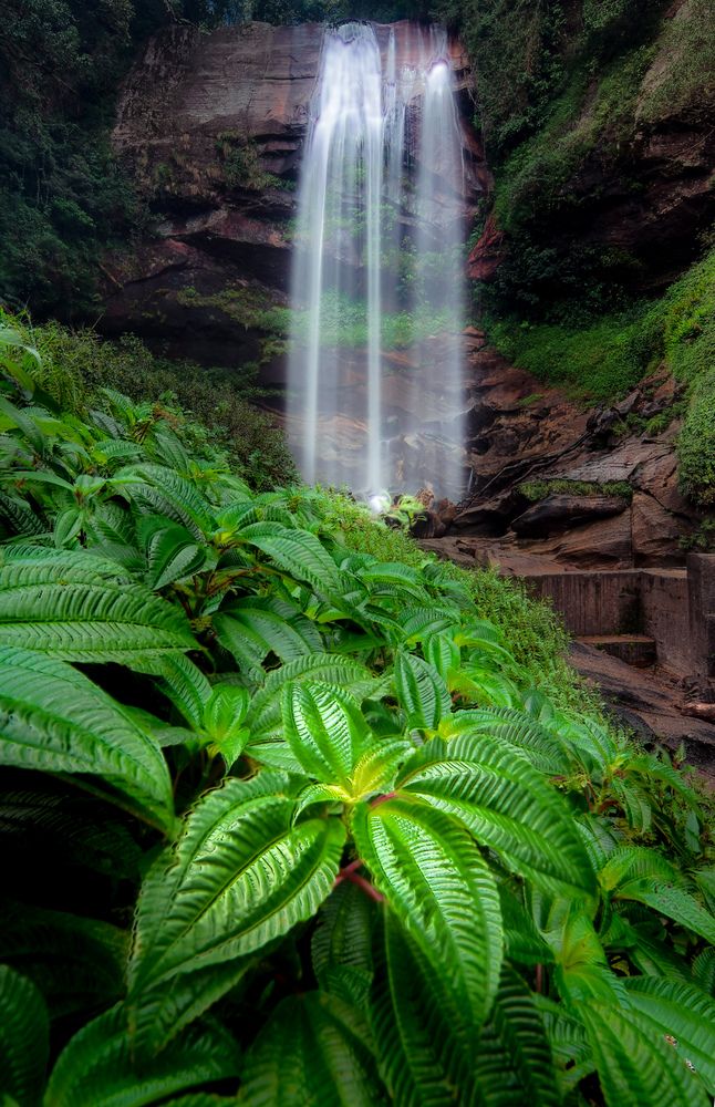 Photograph by Amith Anuradha
