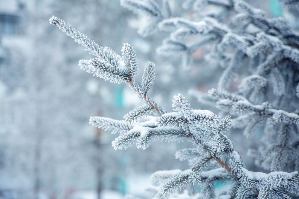 Photograph by Марина Комина