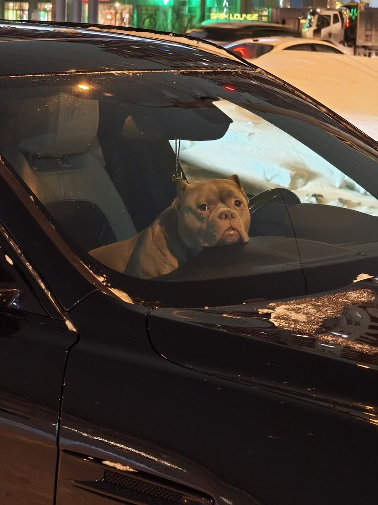 Photograph by Olena Chertous