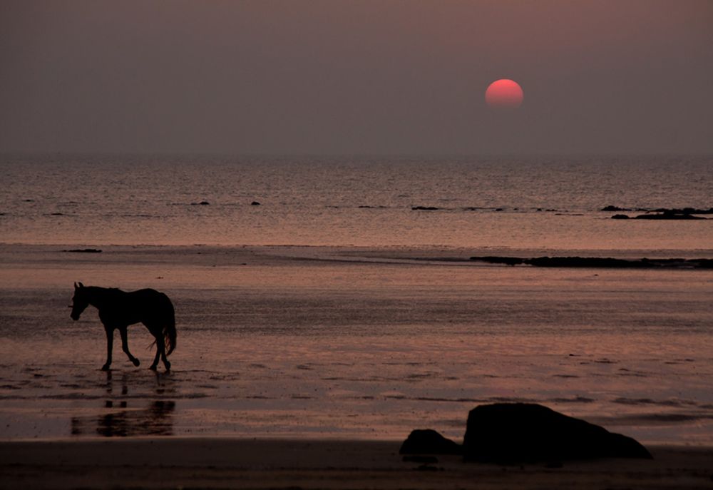 Photograph by krunal mistry