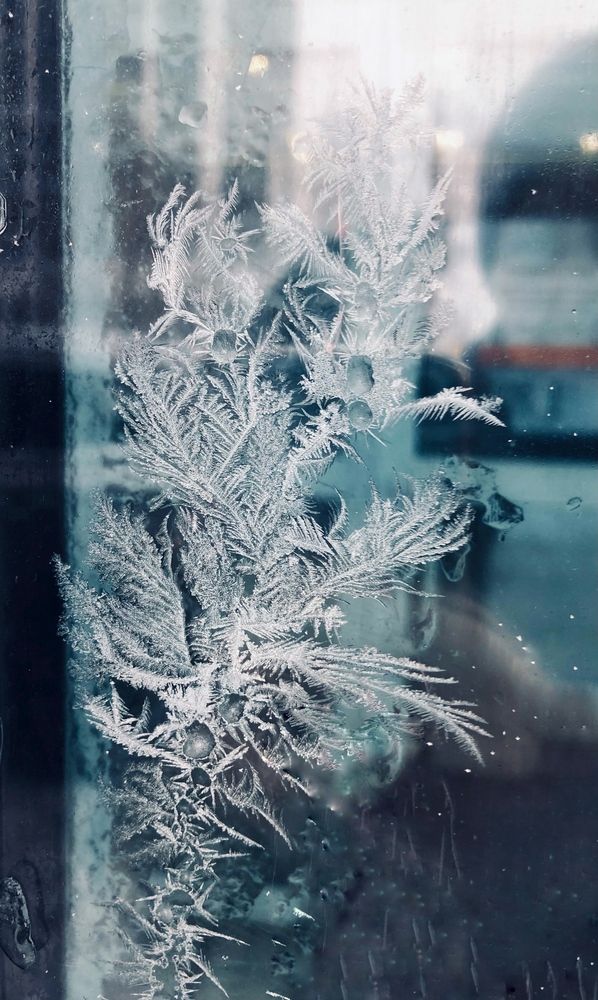 Photograph by Ксения Гулькова