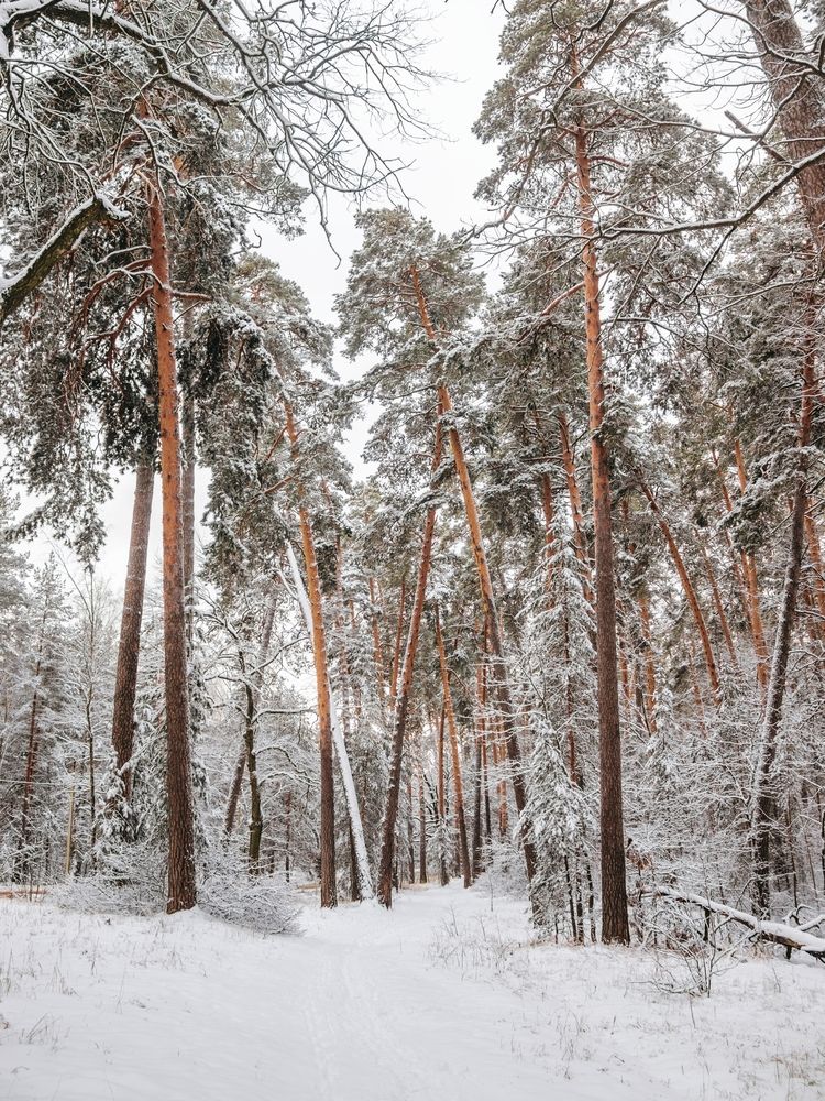 Photograph by Анна Любимова