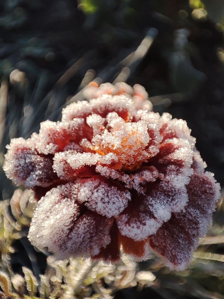 Photograph by Людмила Кузнецова