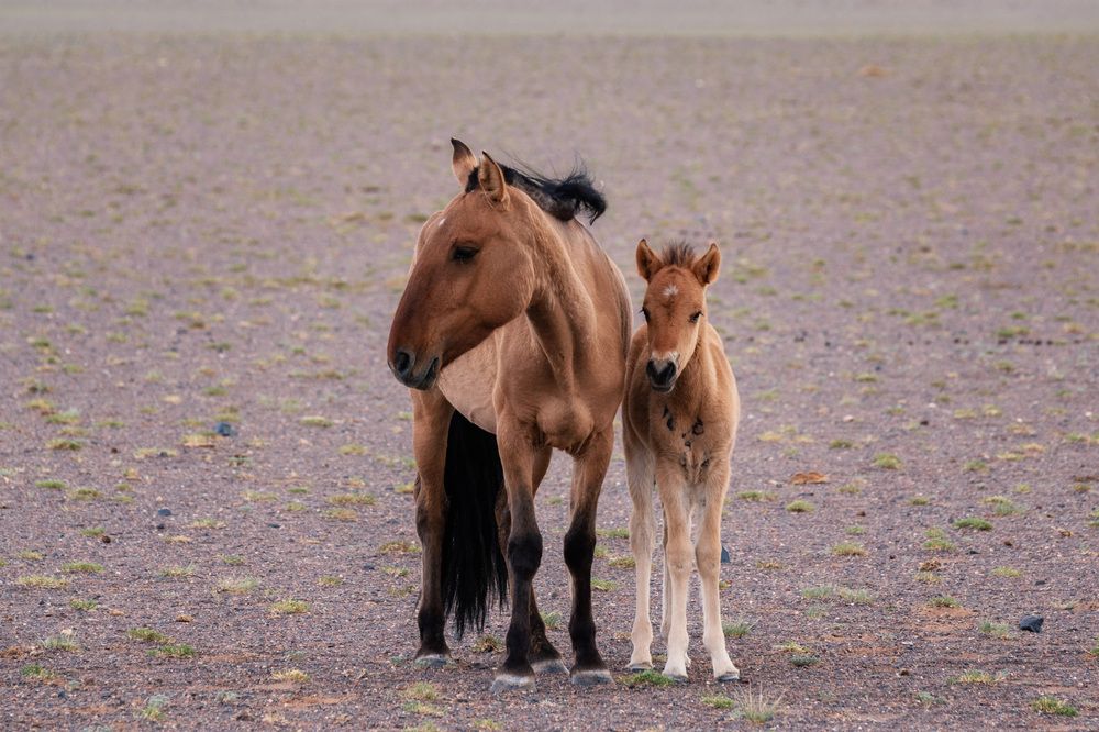 Фотография автора Olga Sharikova
