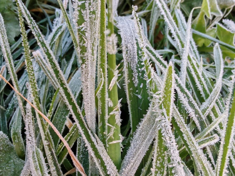 Photograph by Альбина Майкова