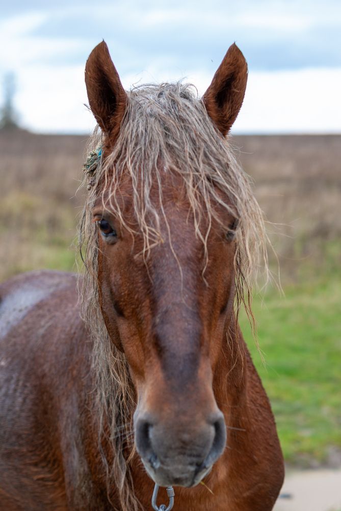 Photograph by Aндрей