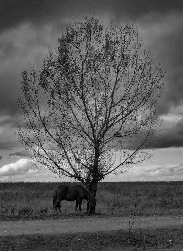 Photograph by Aндрей