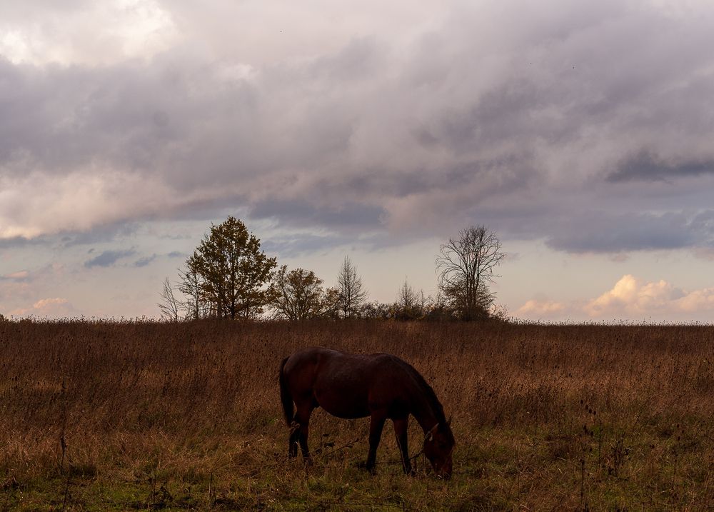 Photograph by Aндрей