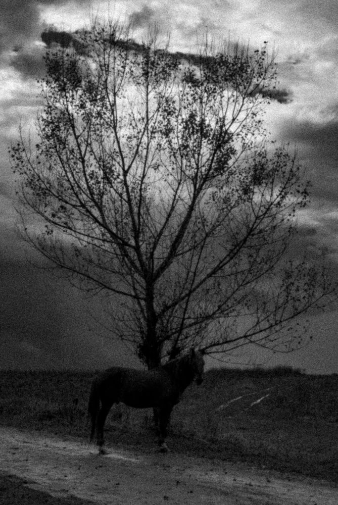 Photograph by Aндрей