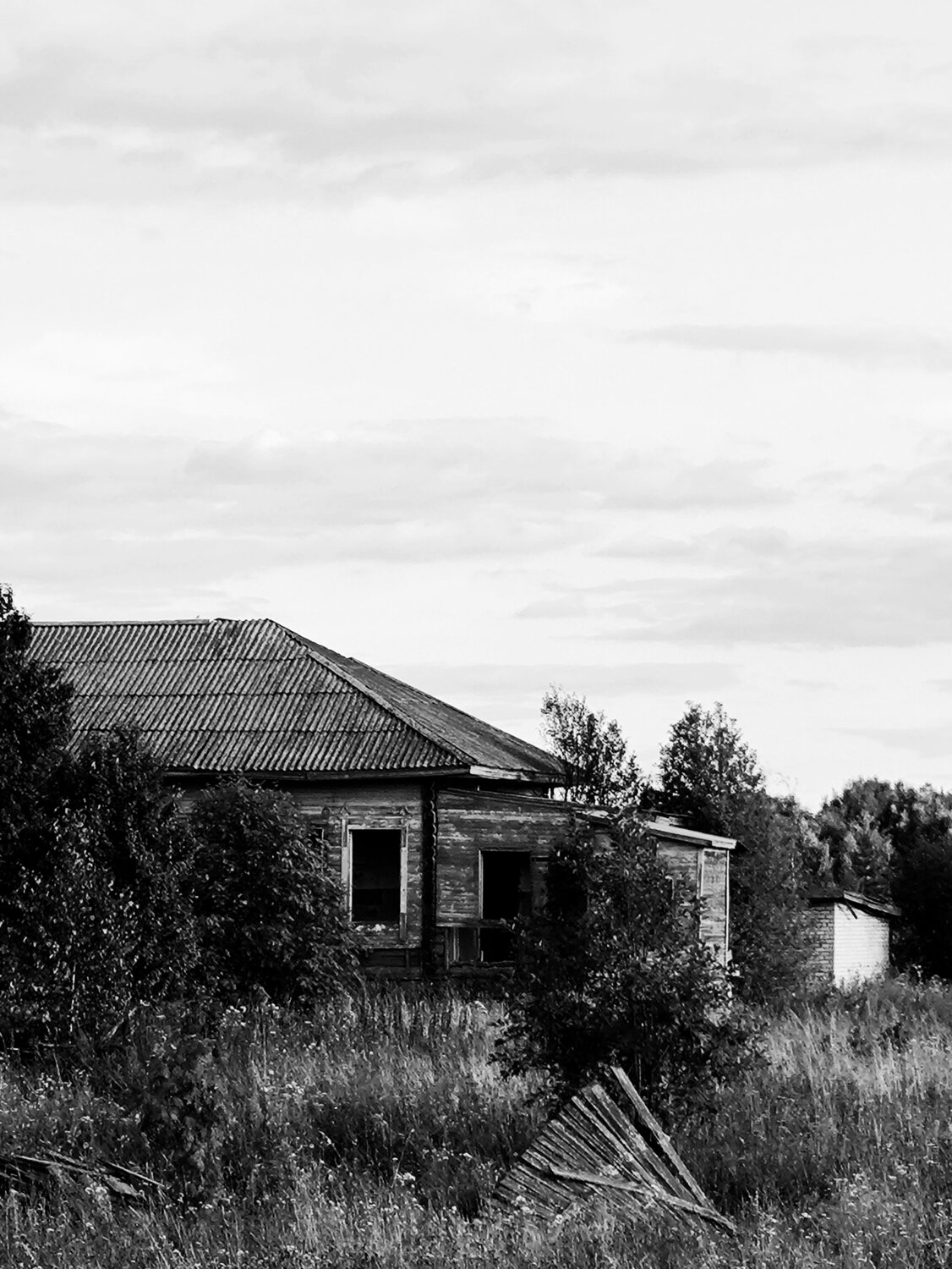 Photo #13013719