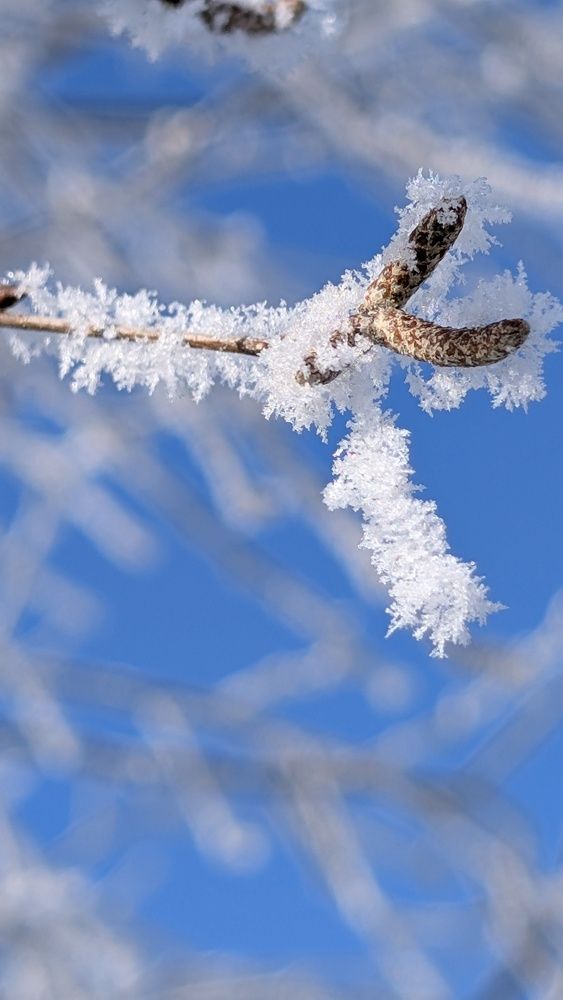 Фотография автора Марина Кириченко