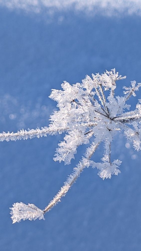 Фотография автора Марина Кириченко