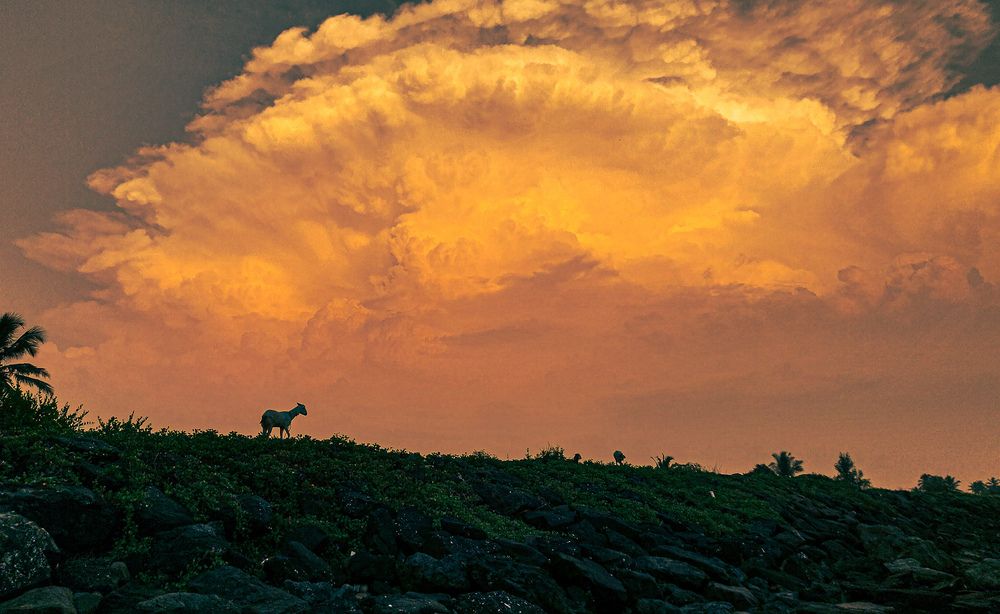 Photograph by Vedant Dhangar