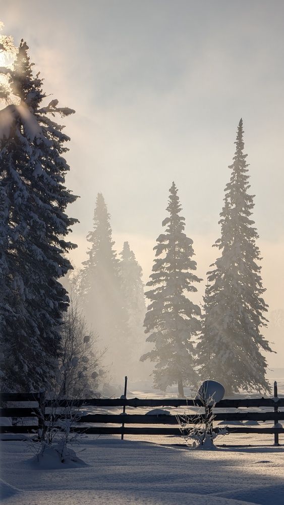 Photograph by Марина Кириченко