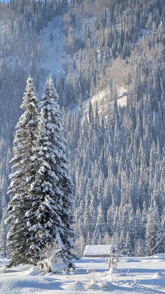 Photograph by Марина Кириченко