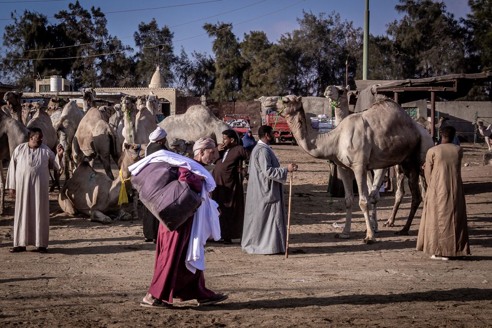 Photograph by Ayman Fawzy