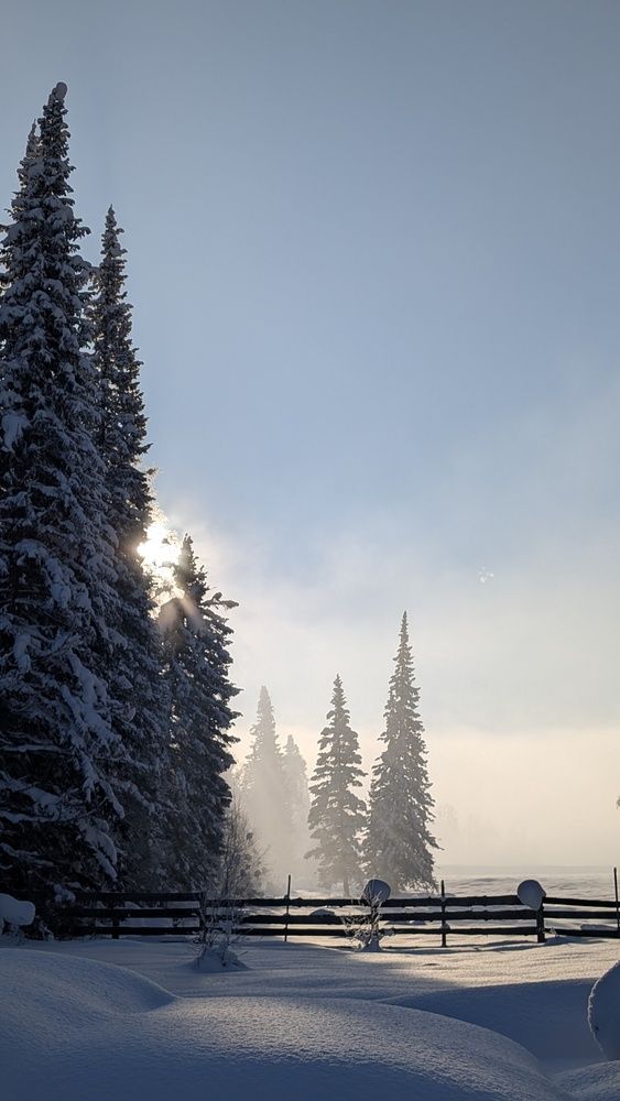 Photograph by Марина Кириченко