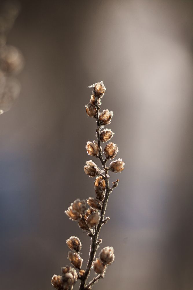 Photograph by Наталья Островцева