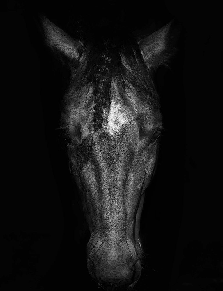 Photograph by Кицуне Татьяна