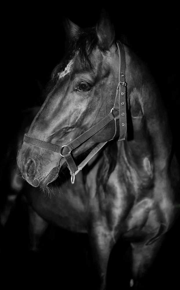 Photograph by Кицуне Татьяна