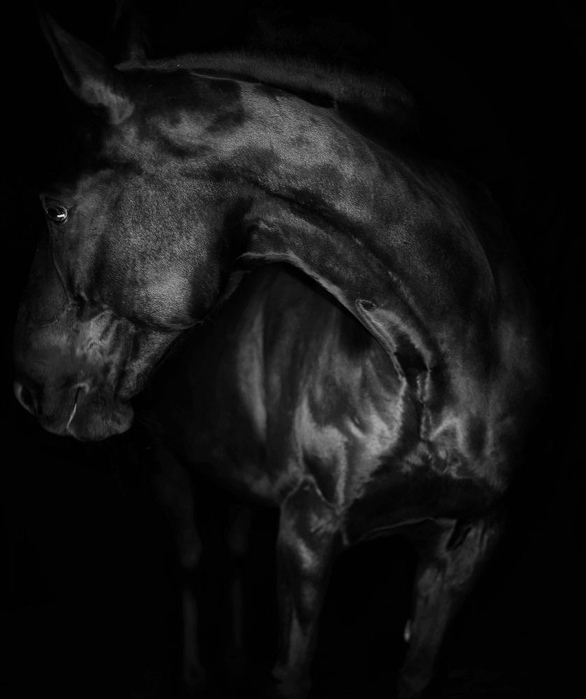 Photograph by Кицуне Татьяна