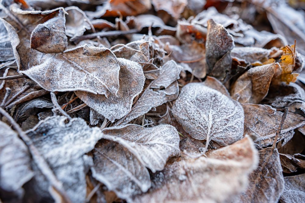 Photograph by Галина Григорьева