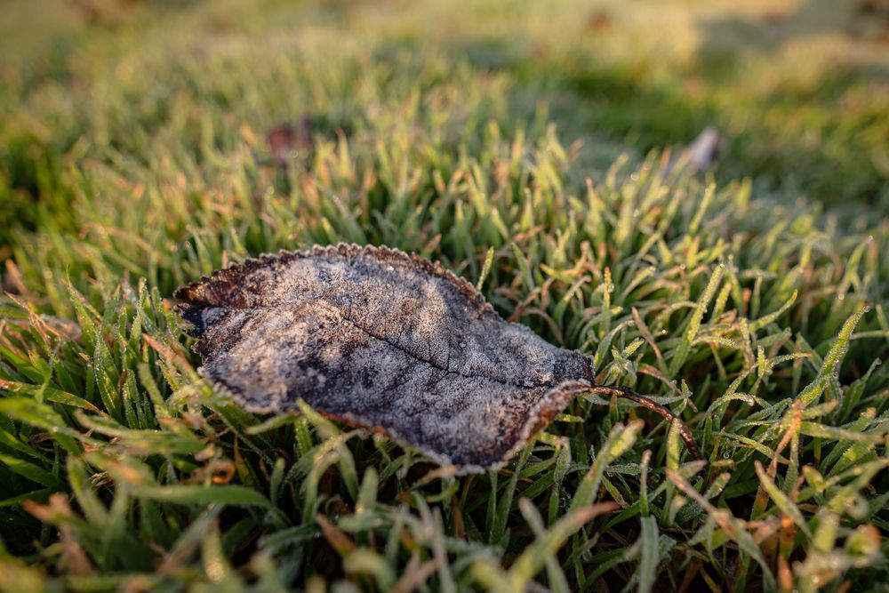 Photograph by Галина Григорьева