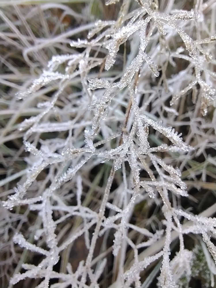 Photograph by Инна Голубева