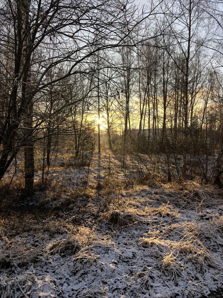 Photograph by Елена Охапкина