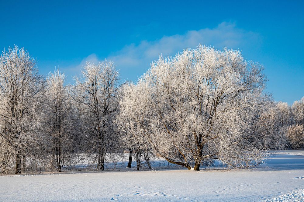 Photograph by Волынский Виктор