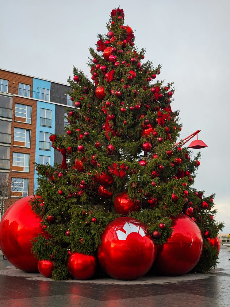 Photograph by Ljubov Trombovetskaja