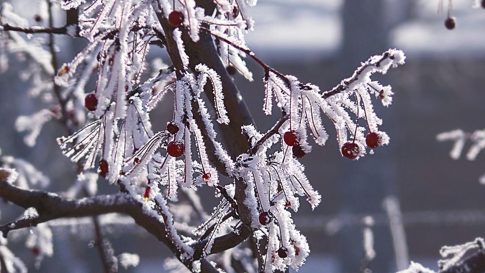 Photograph by Валерий Алфимов