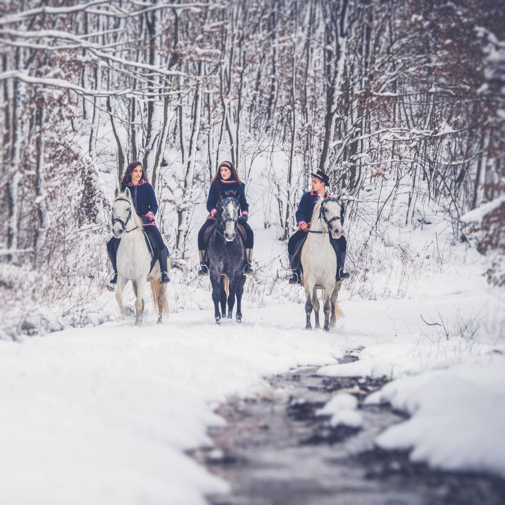 Photograph by Tomislav Safundžić