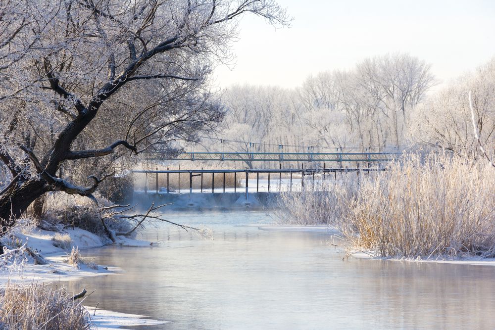 Photograph by Максим Шелякин