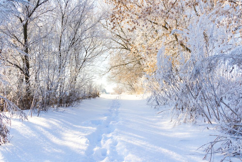 Photograph by Максим Шелякин