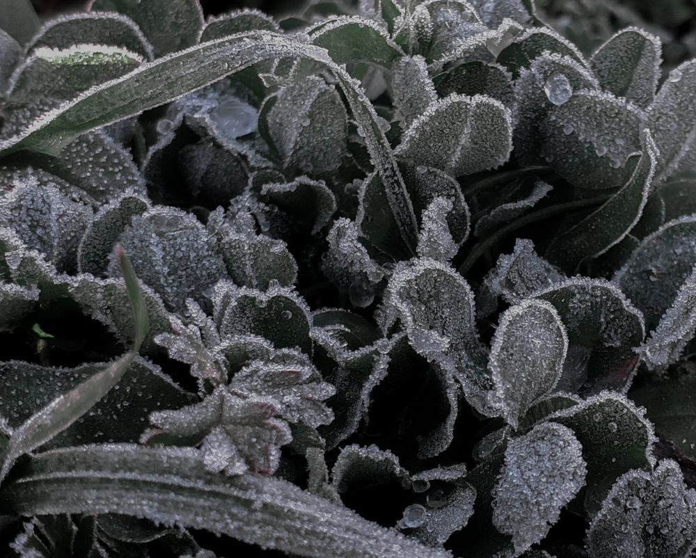 Photograph by Кристина Присяжная