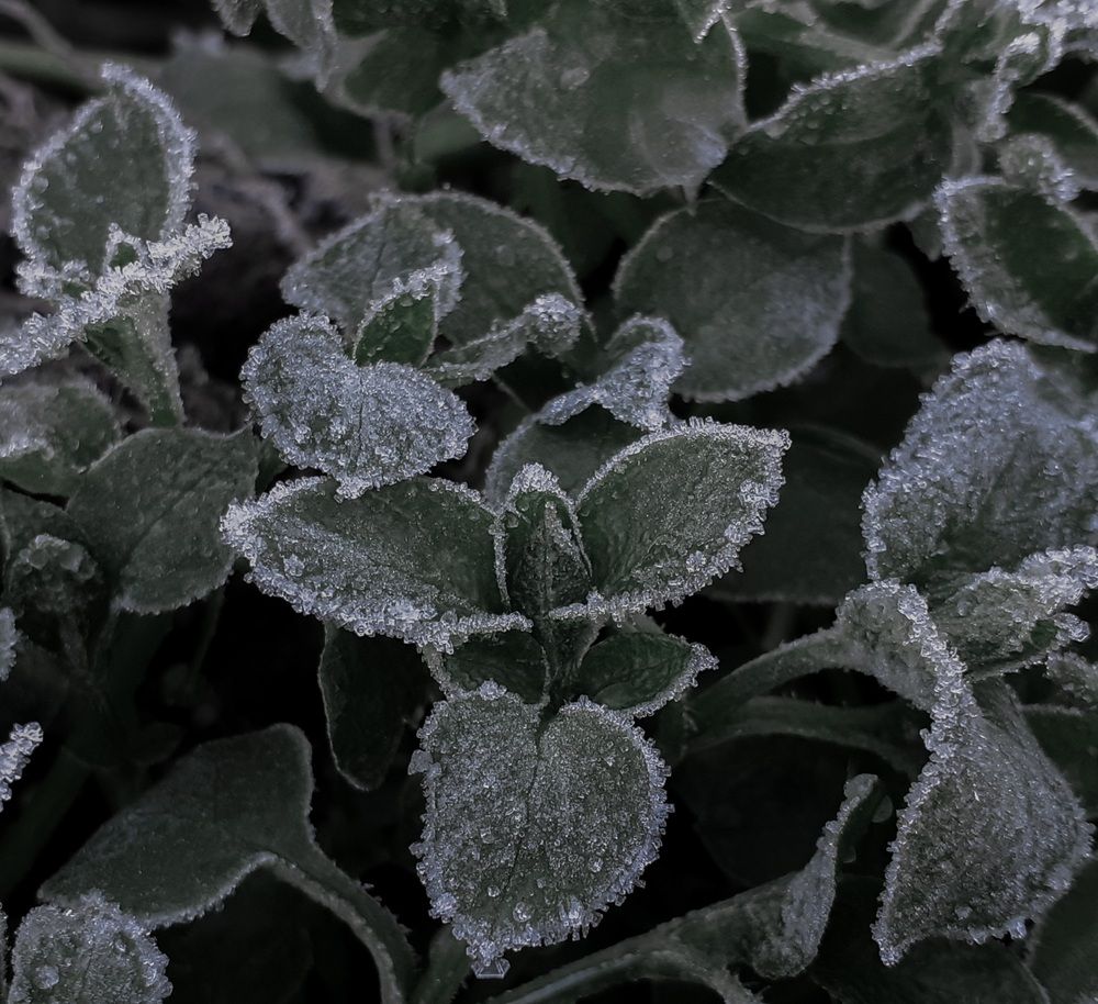 Photograph by Кристина Присяжная