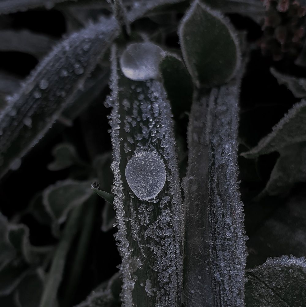 Photograph by Кристина Присяжная