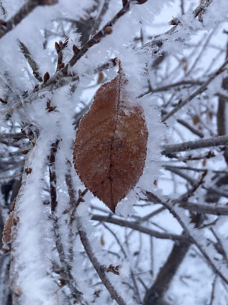 Photograph by Путилов Арсений