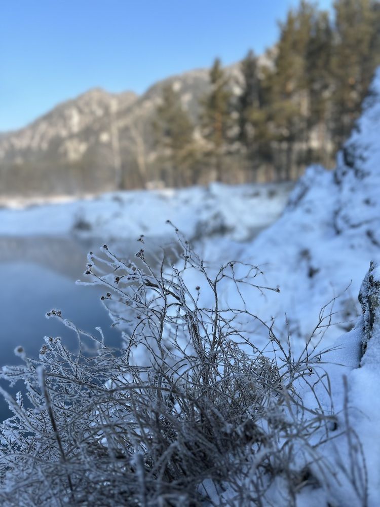 Photograph by Svetlana Rashidova