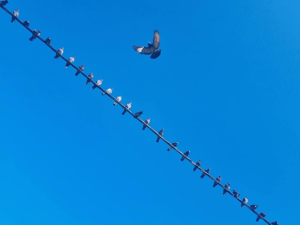 Photograph by Yair Palti