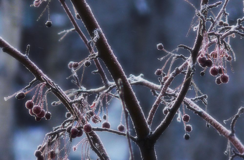 Photograph by Валерий Алфимов